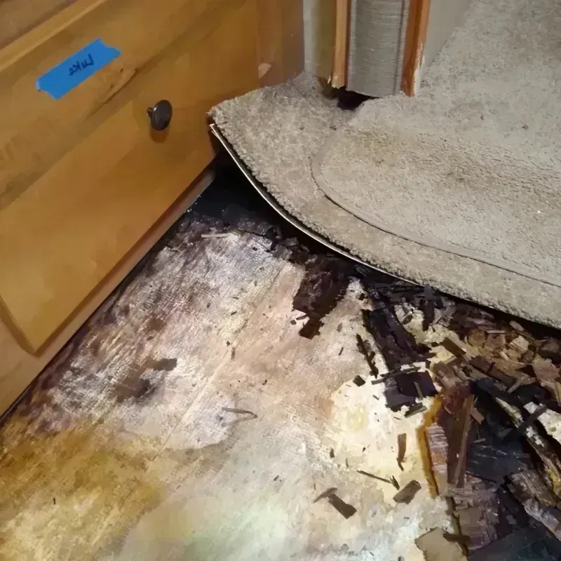 Wood Floor Water Damage in Clayton, NY